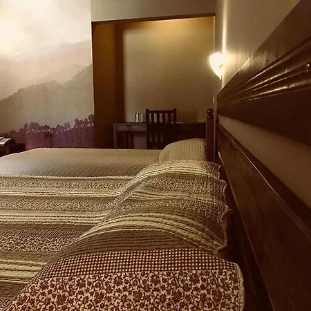 Отель стиляна/hotel Stilyana Девин