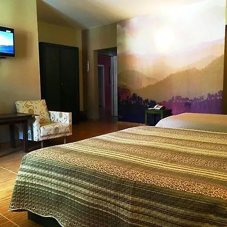 стиляна/hotel Stilyana Hotel Devin