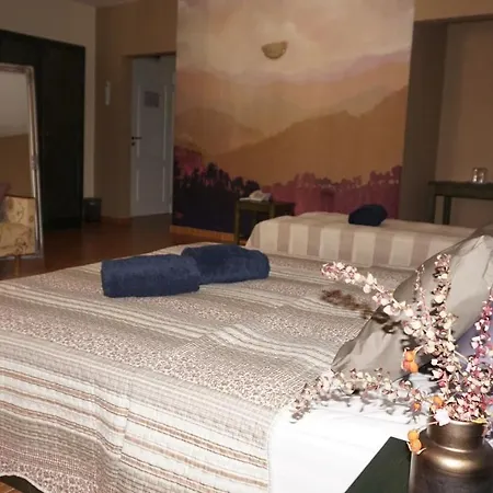 стиляна/hotel Stilyana Hotel Devin